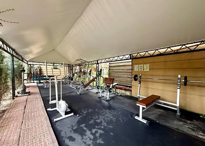 Cosher | Cacao Penthouse